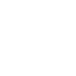 Desarrollo Icono