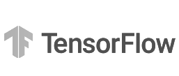 Tensor Flow g